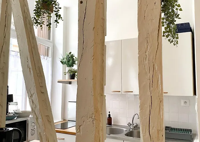 Cosy & Boheme - Quartier Cauchoise *